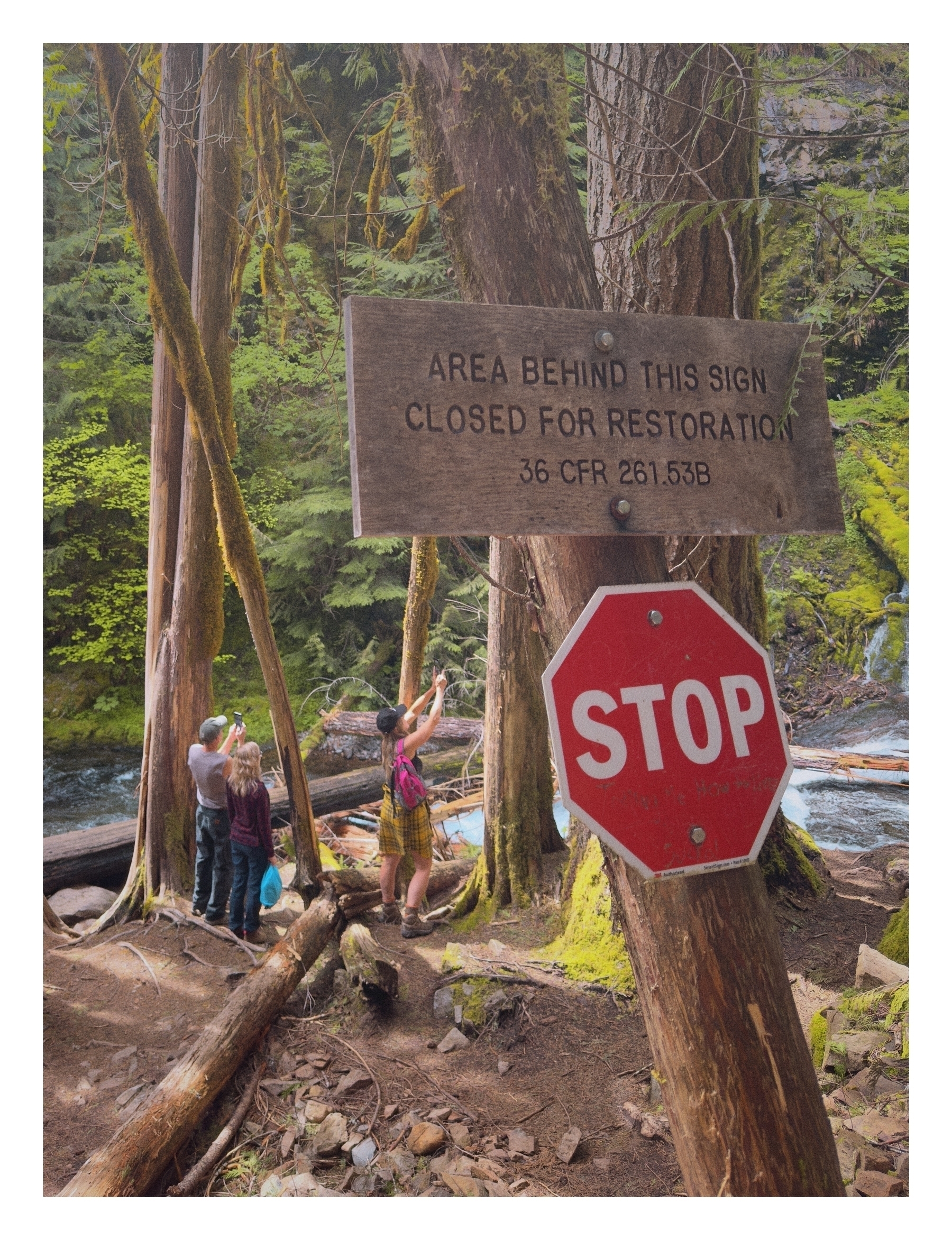 Three children look into a forested area with a river, near signs indicating restoration work and prohibiting entry. Text on signs: “AREA BEHIND THIS SIGN CLOSED FOR RESTORATION 36 CFR 261.53B” and “STOP”.