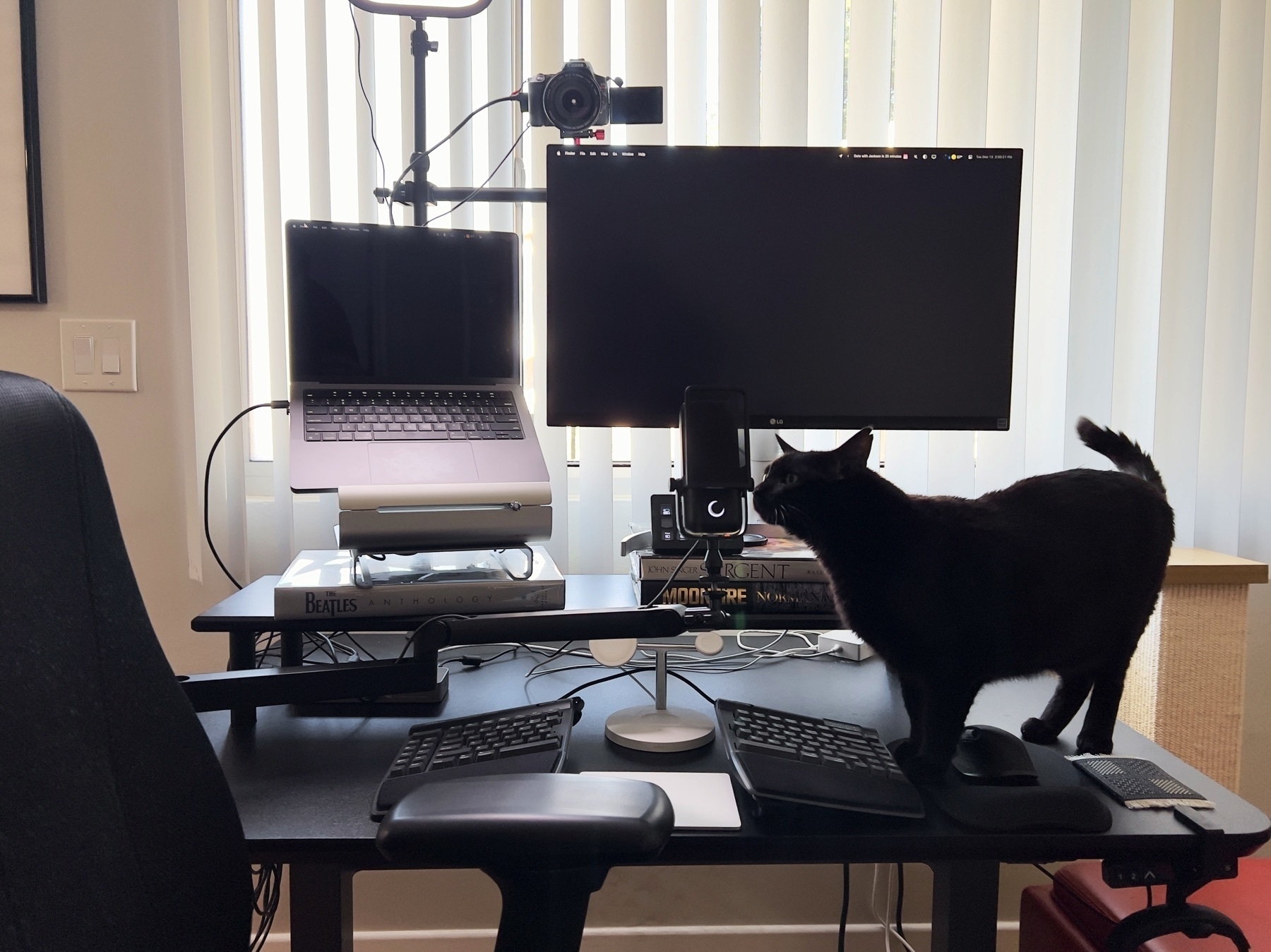 Workstation with MacBook Pro, external display, and Stewie the cat (not typically included).