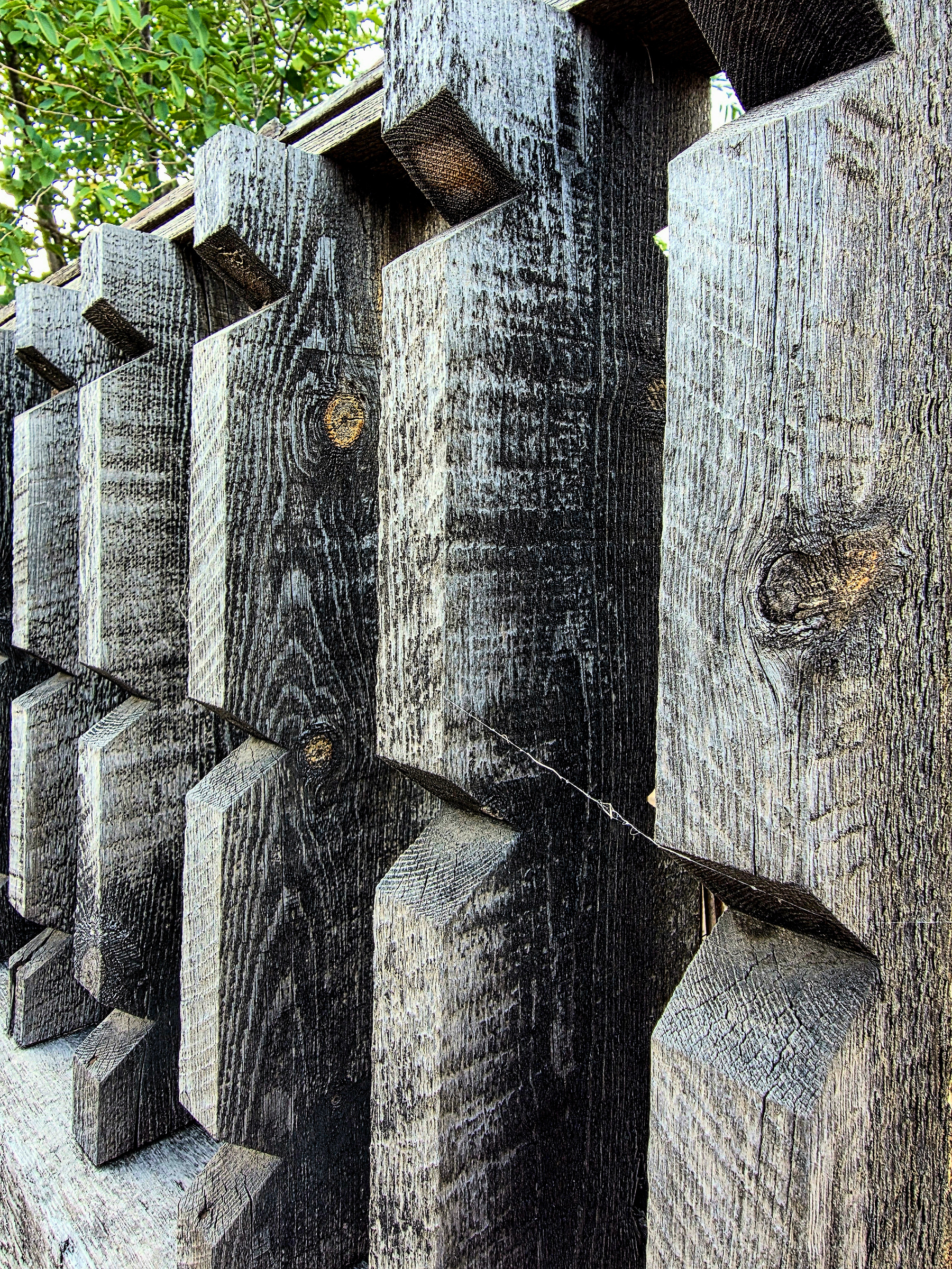 Close-up of weathered wooden coyote fence posts