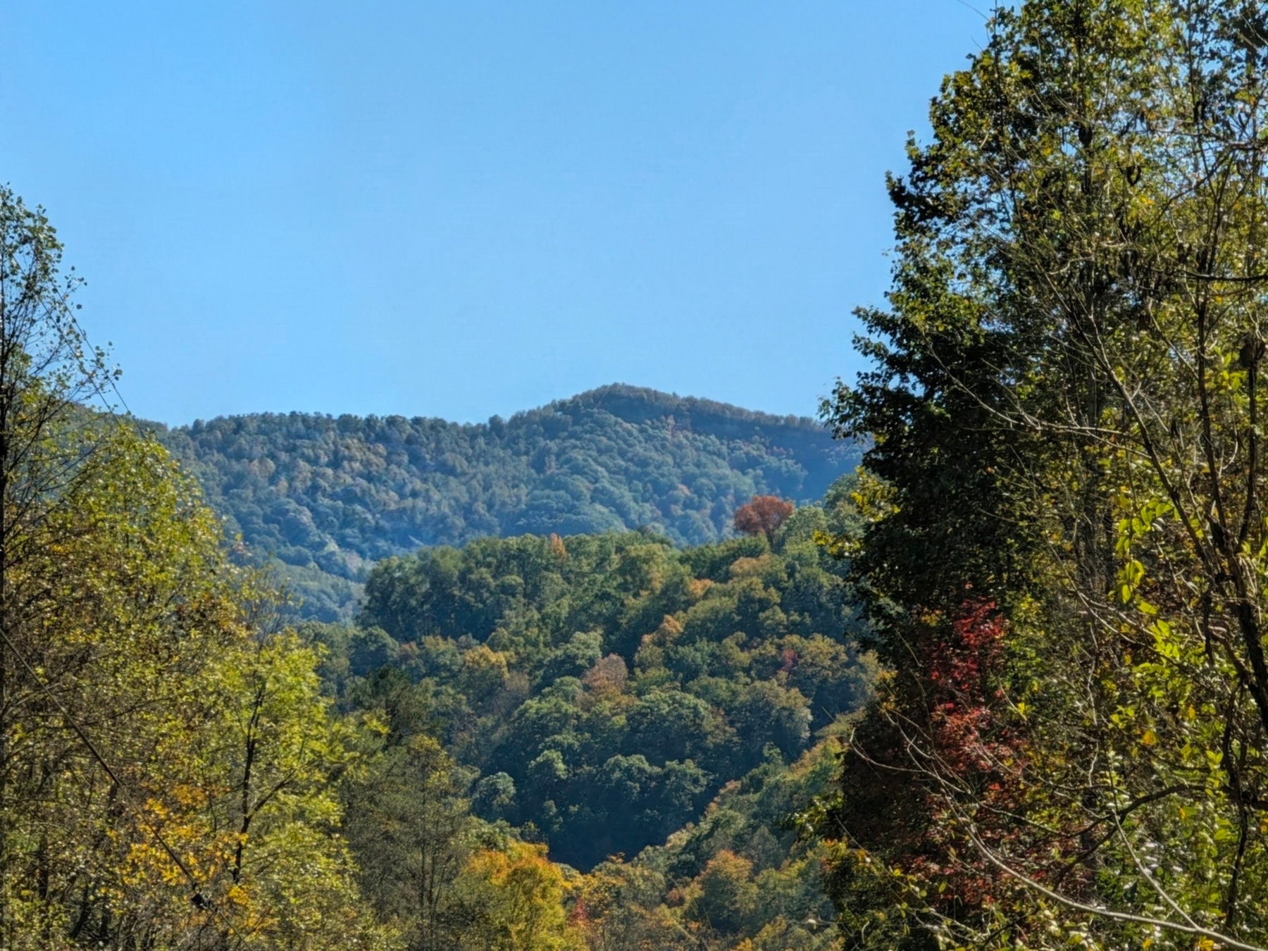 A wooded mountain under a clear blue sky, mostly green with one orange tree near the ridge, framed by yellowing trees