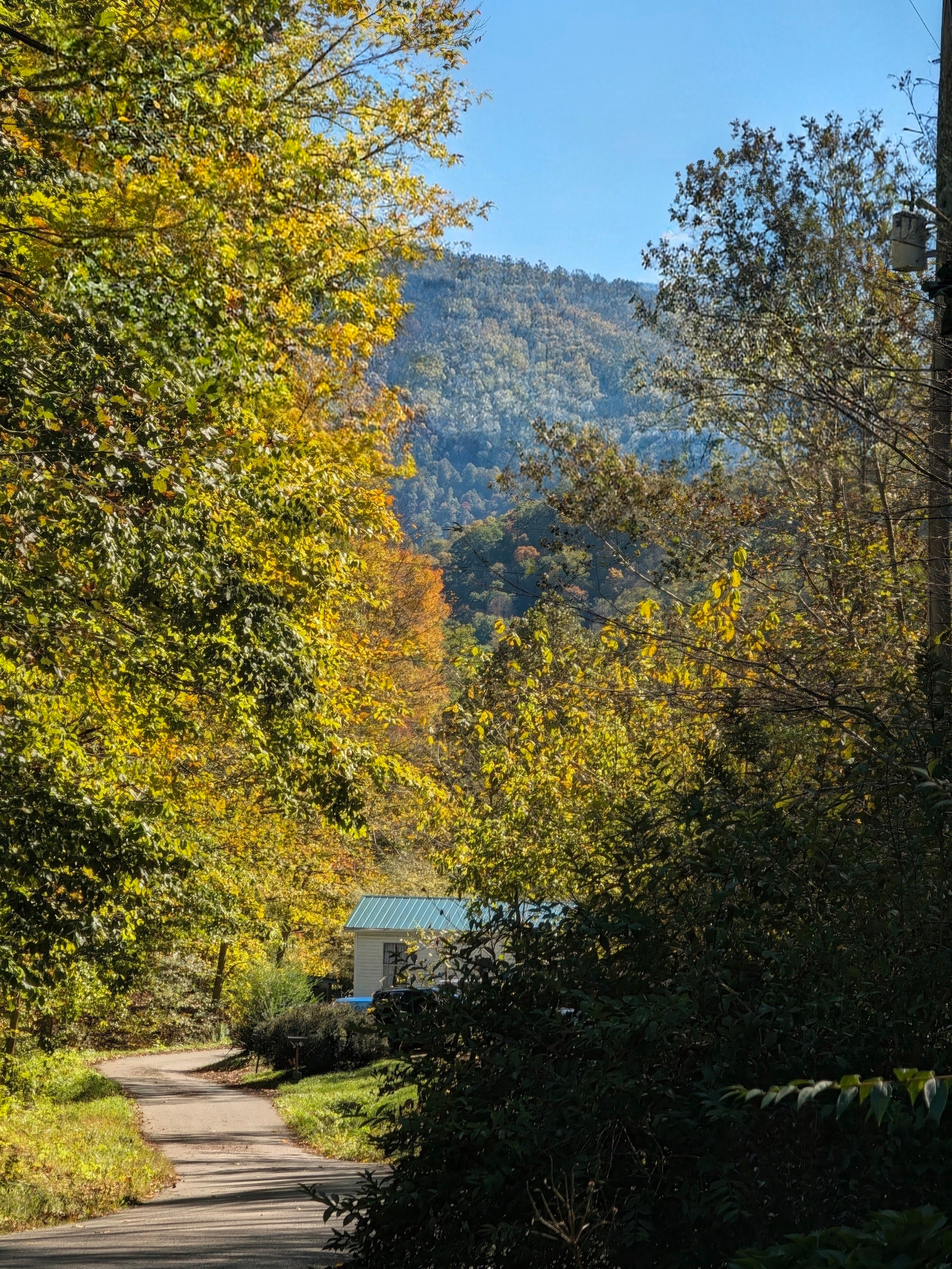A paved lane curving under golden autumn trees toward a white house with a teal metal roof, mountain behind