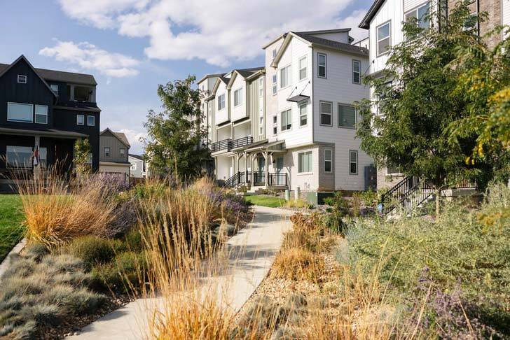 Pollinator gardens in the foreground of the Baseline neighborhood.