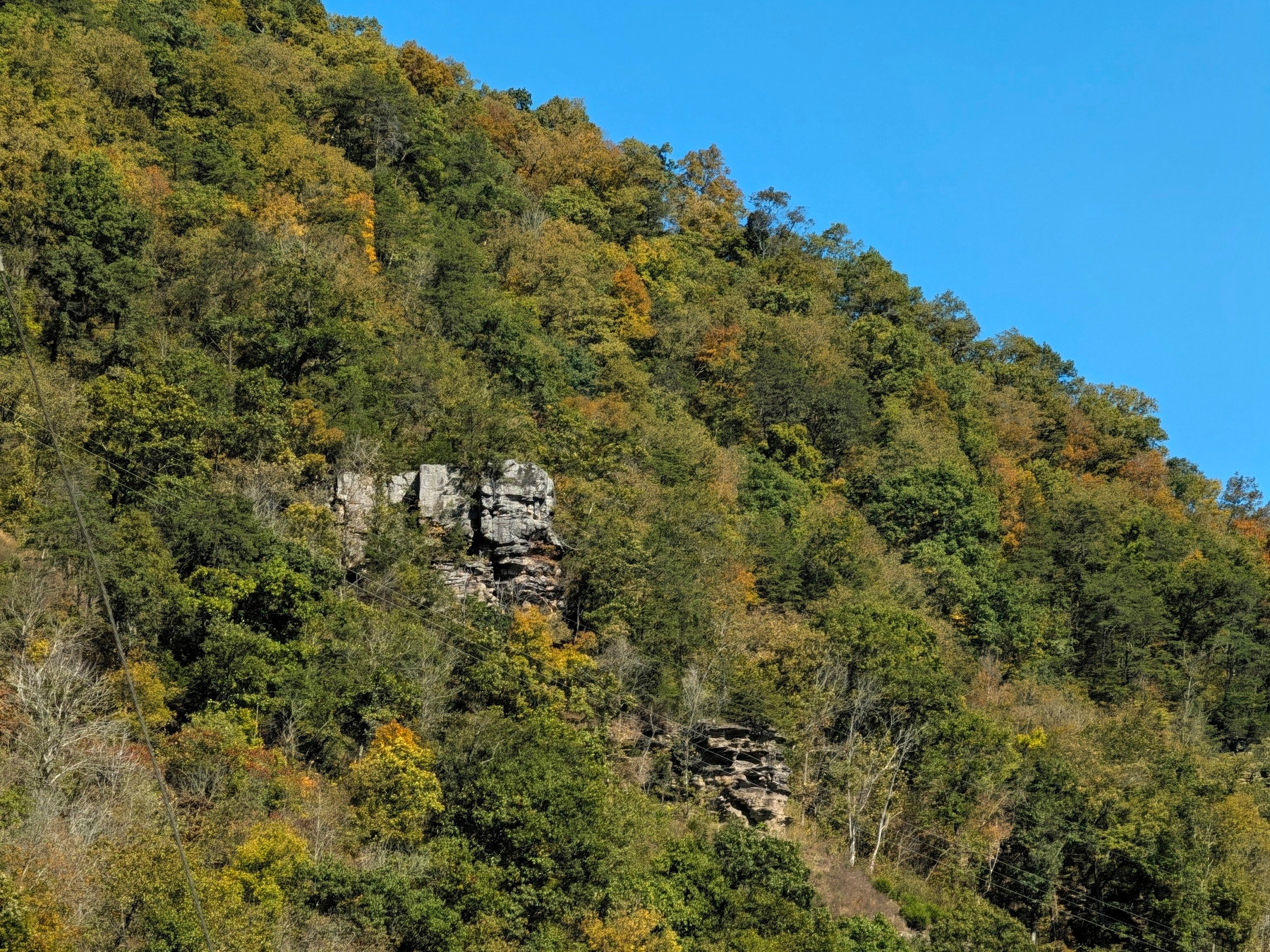 Auto-generated description: A densely forested hillside with some exposed rocky outcrops is set against a clear blue sky.