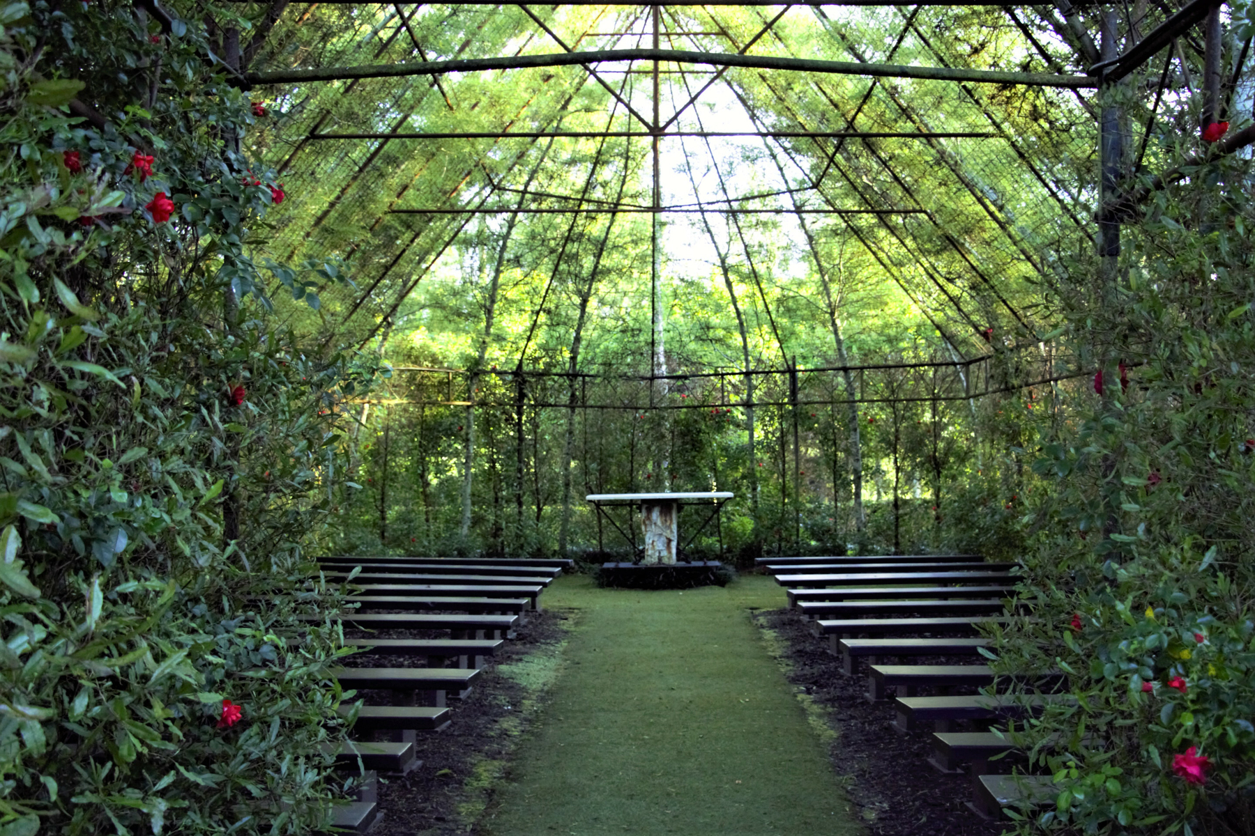 Auto-generated description: A beautiful open-air chapel is enveloped by lush greenery, featuring a pathway leading to a simple altar surrounded by rows of benches.