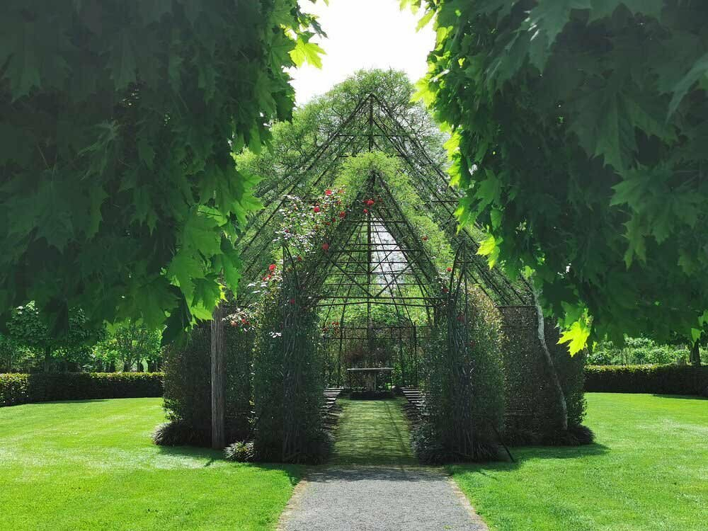 Auto-generated description: A garden features a metal-framed structure covered with plants and surrounded by lush greenery.