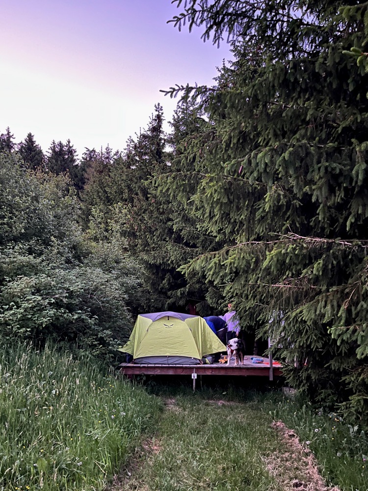 A small, green, two-person tent on a wooden platform in a wooded area. On the platform you can see a man who is just putting something into the tent, a boy and a dog.