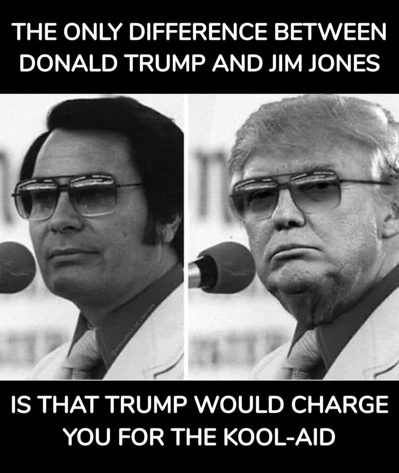 Meme image: “THE ONLY DIFFERENCE BETWEEN DONALD TRUMP AND JIM JONES IS THAT TRUMP WOULD CHARGE YOU FOR THE KOOL-AID”
