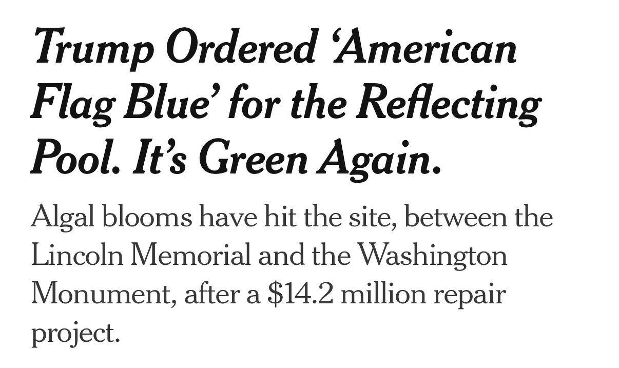 Newspaper Headline