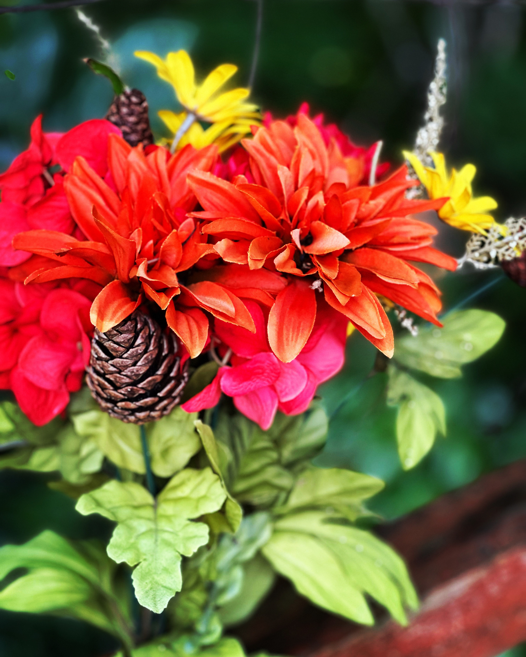 Red, yellow, pink flowers with a brown cone