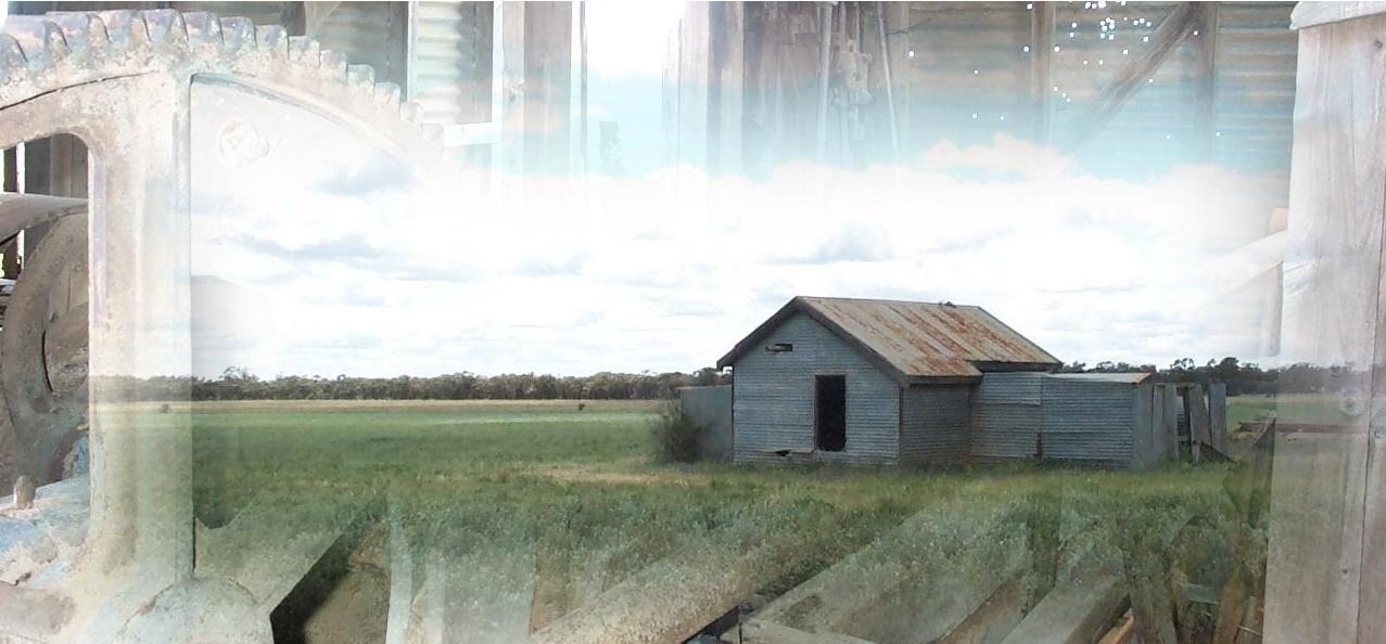 A collage of some pictures of the old “Pine Ridge” bore, south of Wyalong. The old shed building and machinery used in the well.