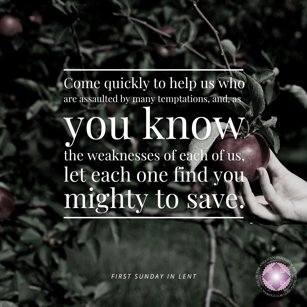 Almighty God, whose blessed Son was led by the Spirit to be tempted by Satan: Come quickly to help us who are assaulted by many temptations, and, as you know the weaknesses of each of us, let each one find you mighty to save; through Jesus Christ your Son our Lord, who lives and reigns with you and the Holy Spirit, one God, now and for ever. Amen.