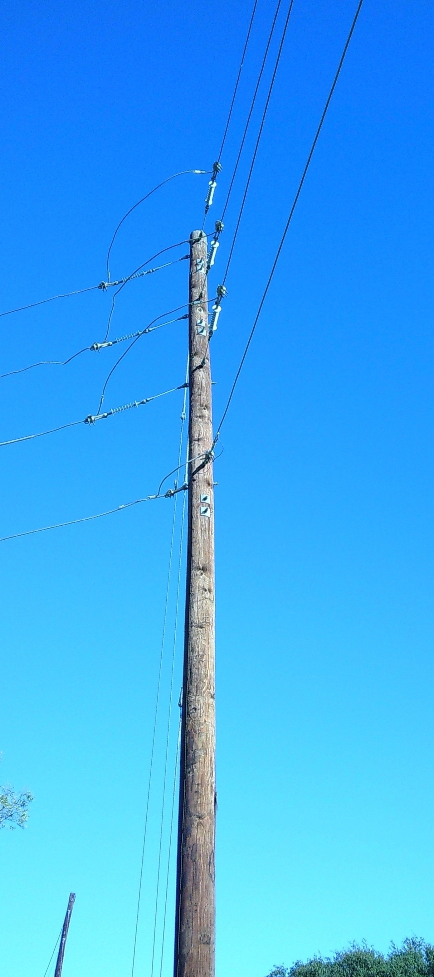 Telephone pole on blue sunny skyline. 
