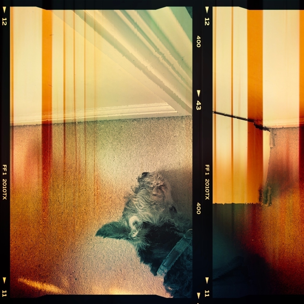 photo thumbnail