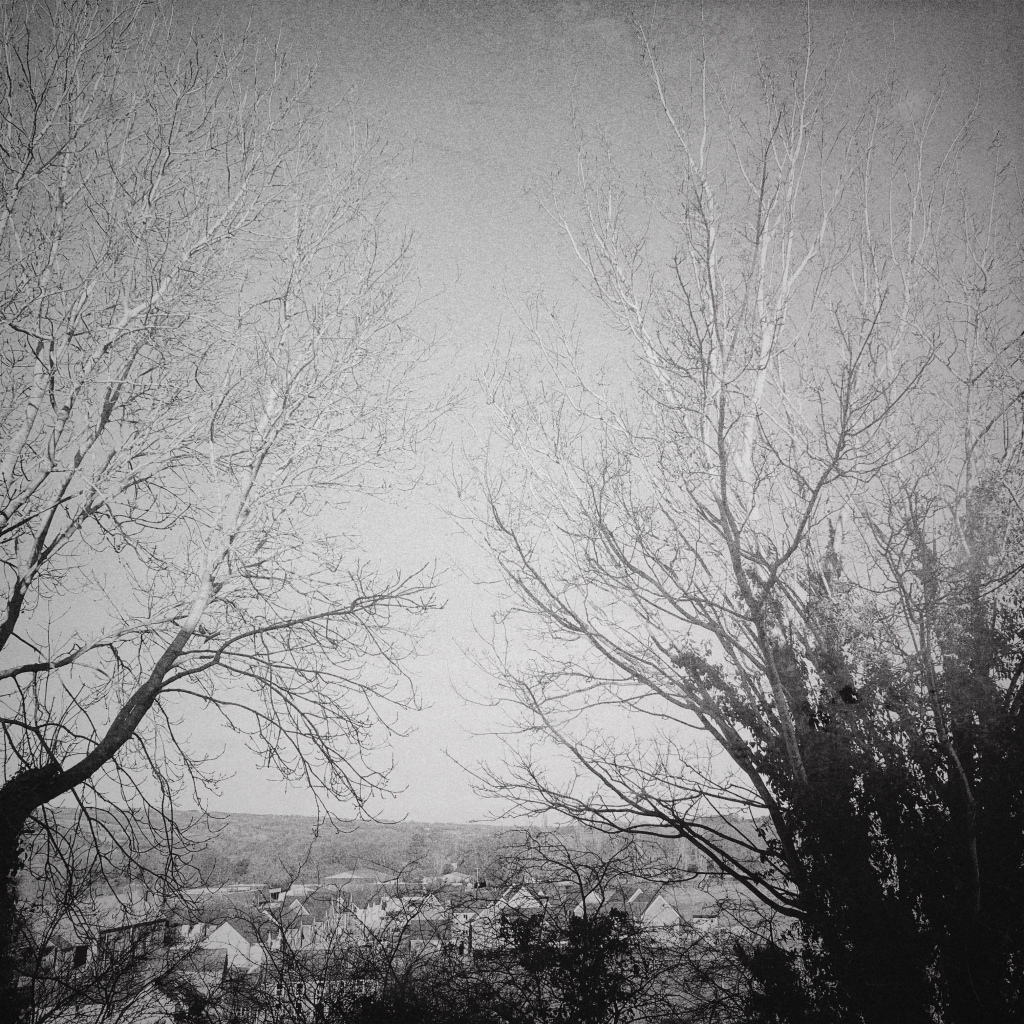 photo thumbnail