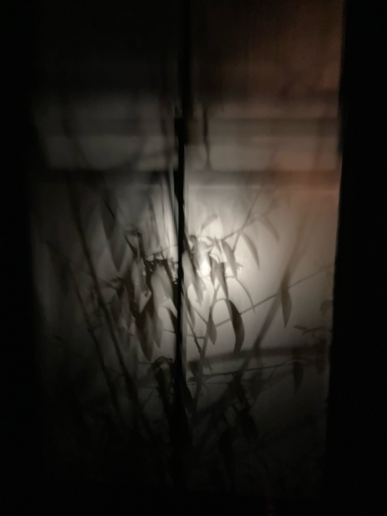 photo thumbnail