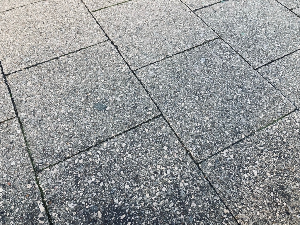 photo thumbnail
