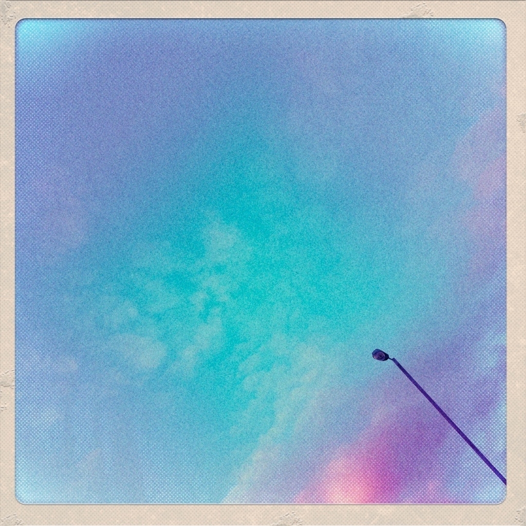 photo thumbnail