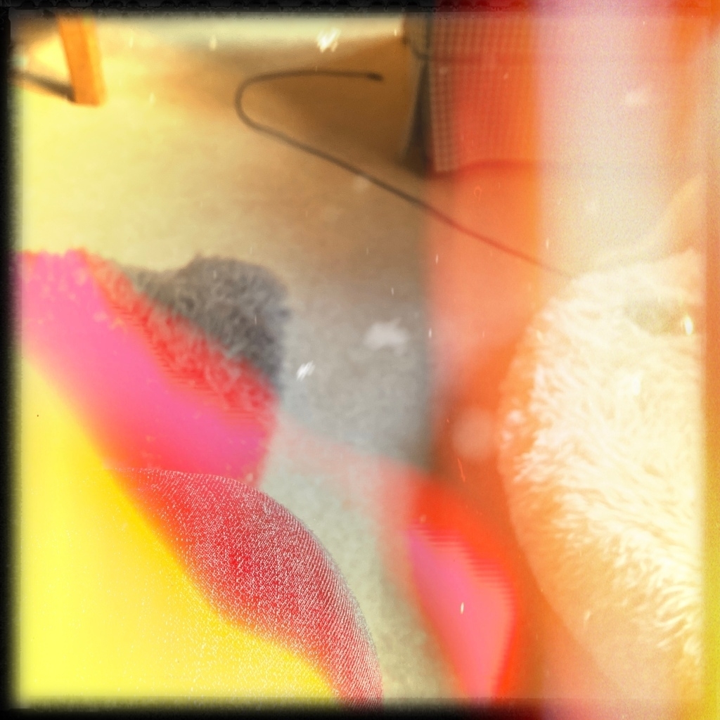 photo thumbnail