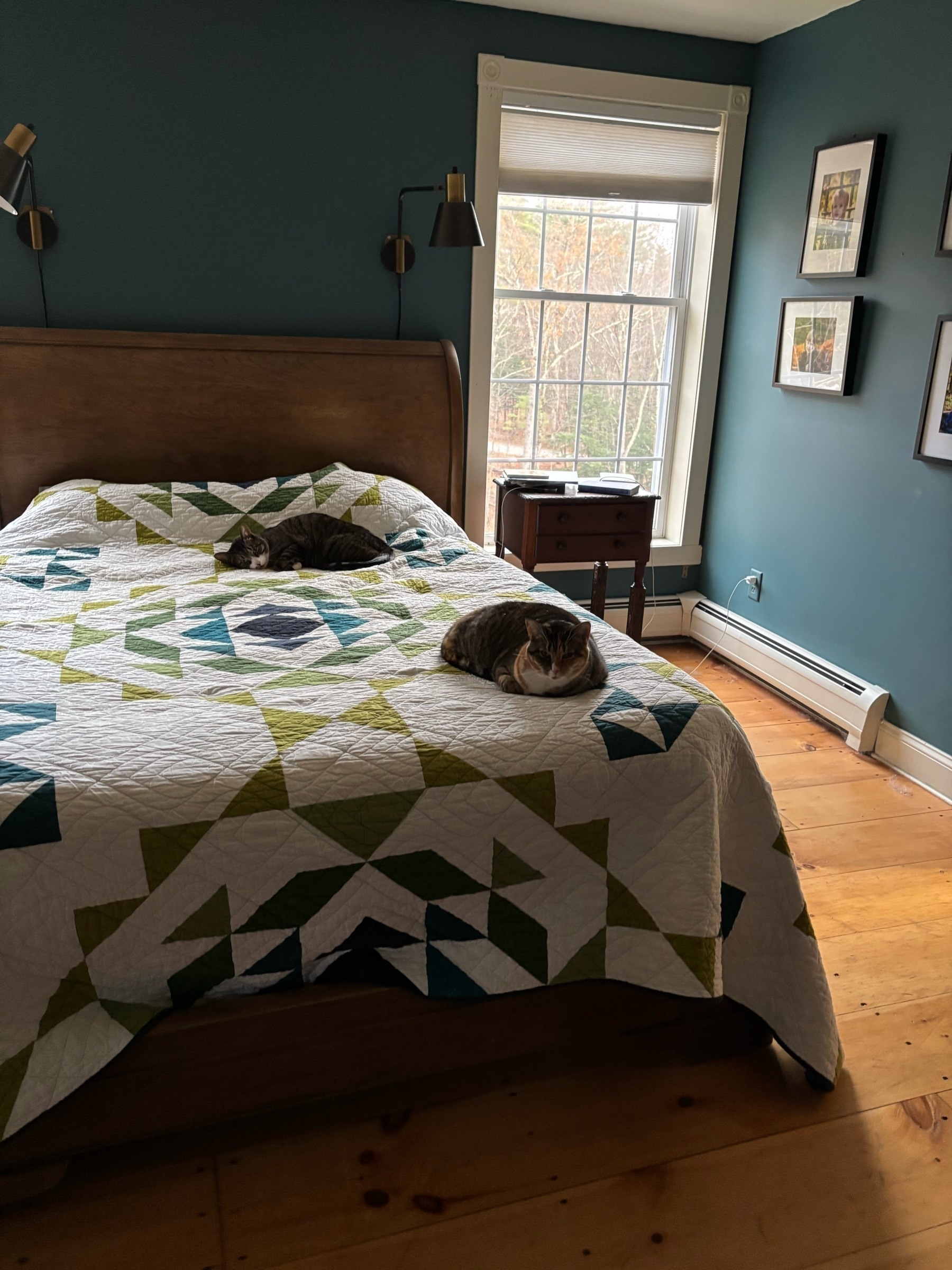 Two grey tabby cats sit on a white-and-blue-and-green quilt on a big sleigh bed in a wooden floored room