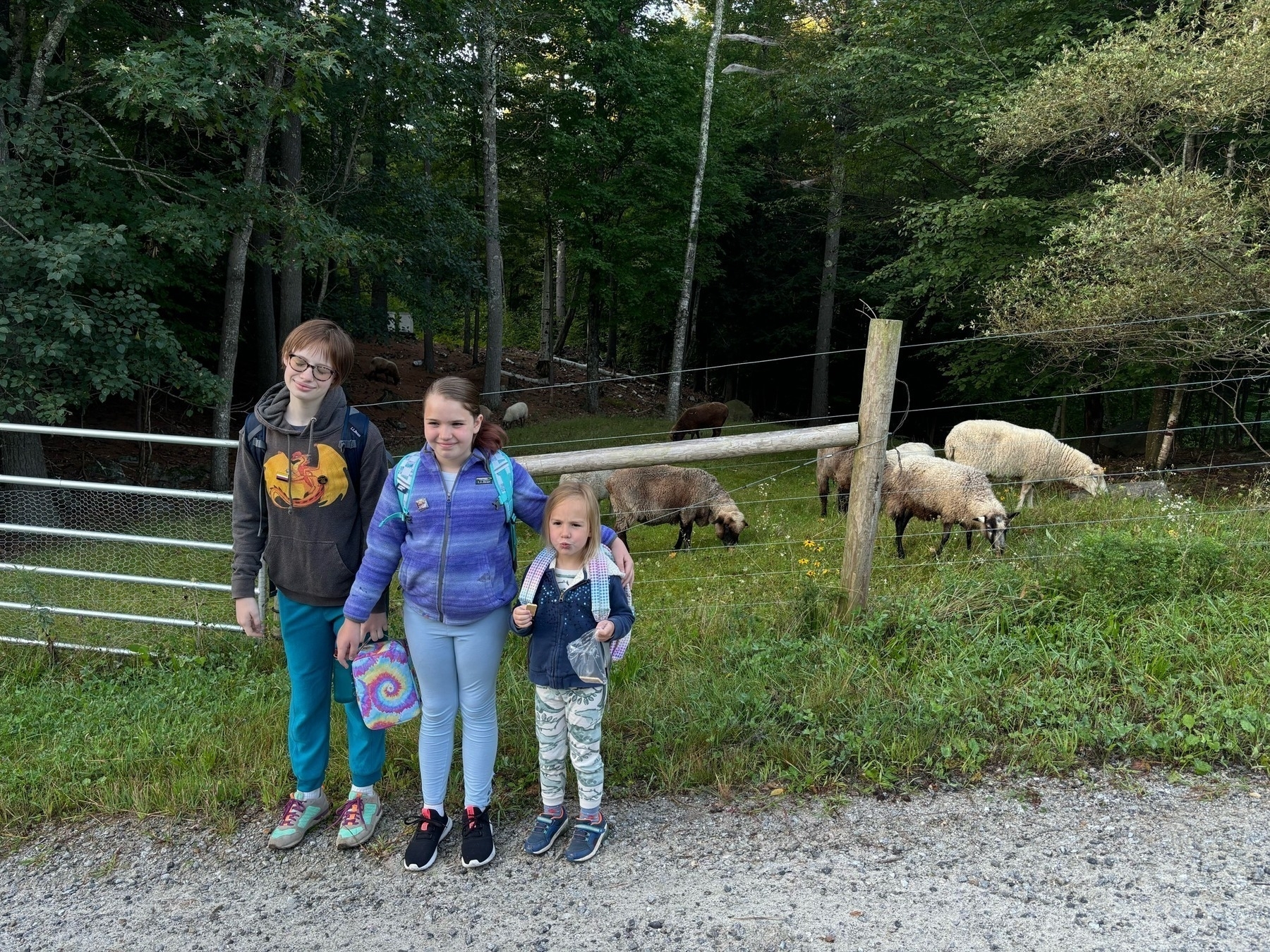 3 kids stand in front of a metal gate and wire fence, with grass, trees, and sheep behind.  All are wearing backpacks and bemused expressions. They range from kindergarten to teenage.