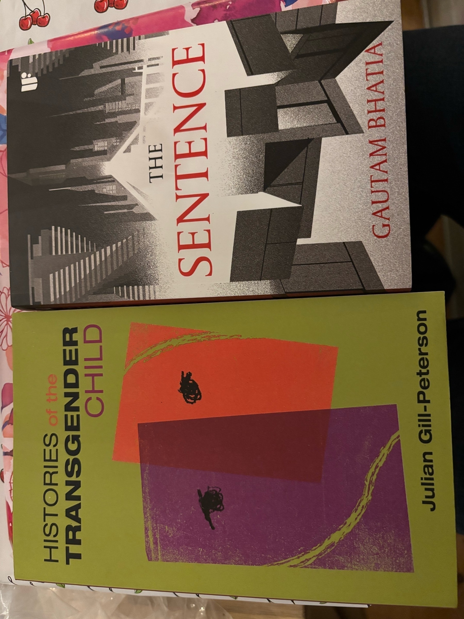 Image of two books next to each other: Gautam Bhatia's "The Sentence" and Jules Gill-Peterson's "Histories of the Transgender Child"