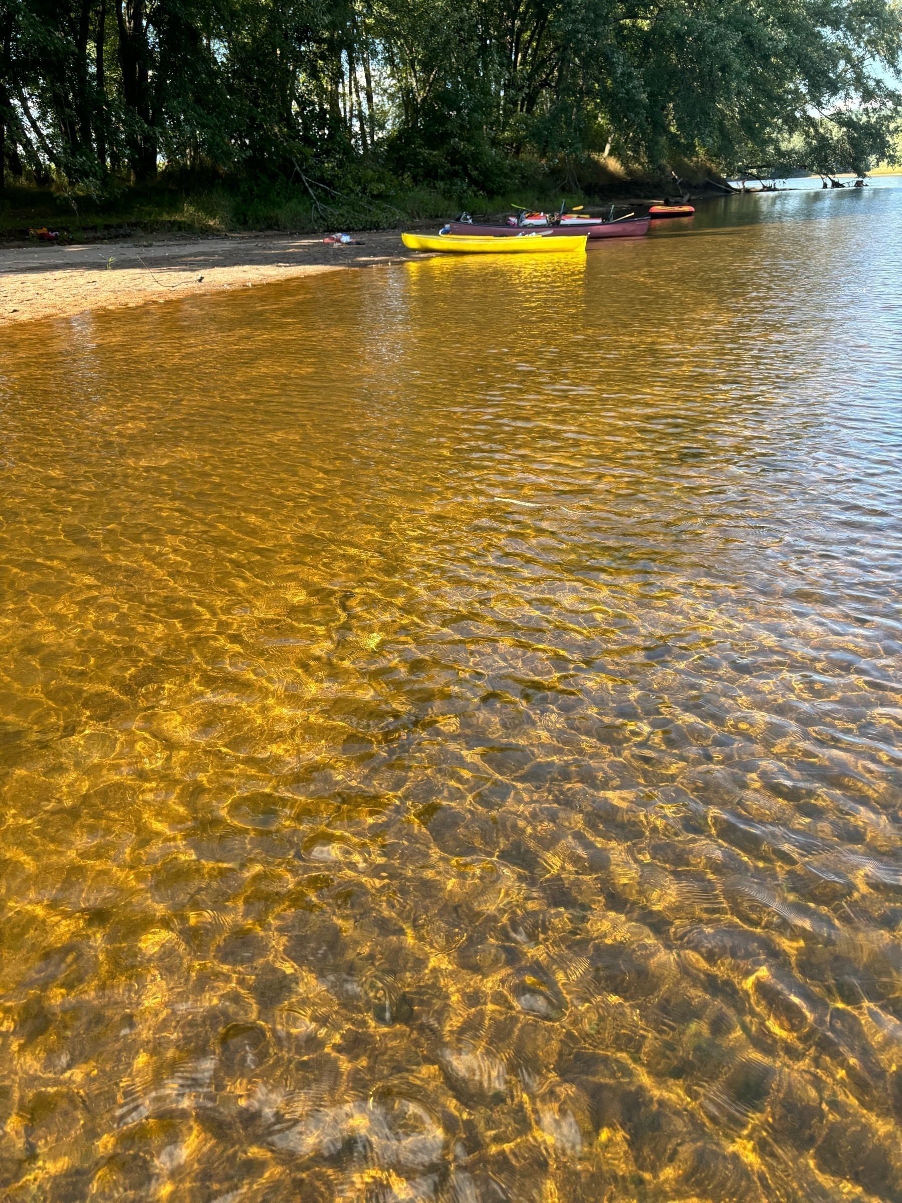 A mostly brown scene a shallow water rippling a few inches over a sandy river bottom.  In the middle of the picture can barely be seen the ripple of a snake's body perpendicular to the watery patterns, and with its head sticking out.  There's a yellow kayak and some trees in the background.