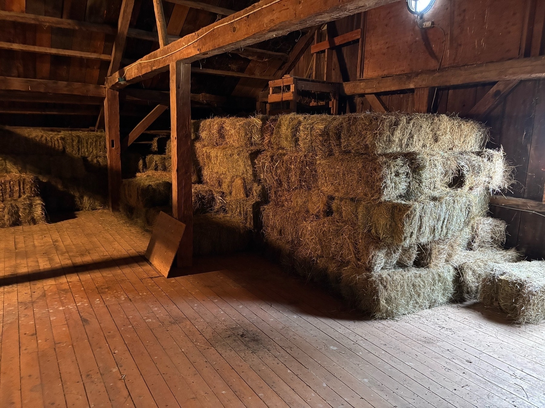 A wooden barn with exposed beams, hay bales stacked 5 bales high, and lost of empty space