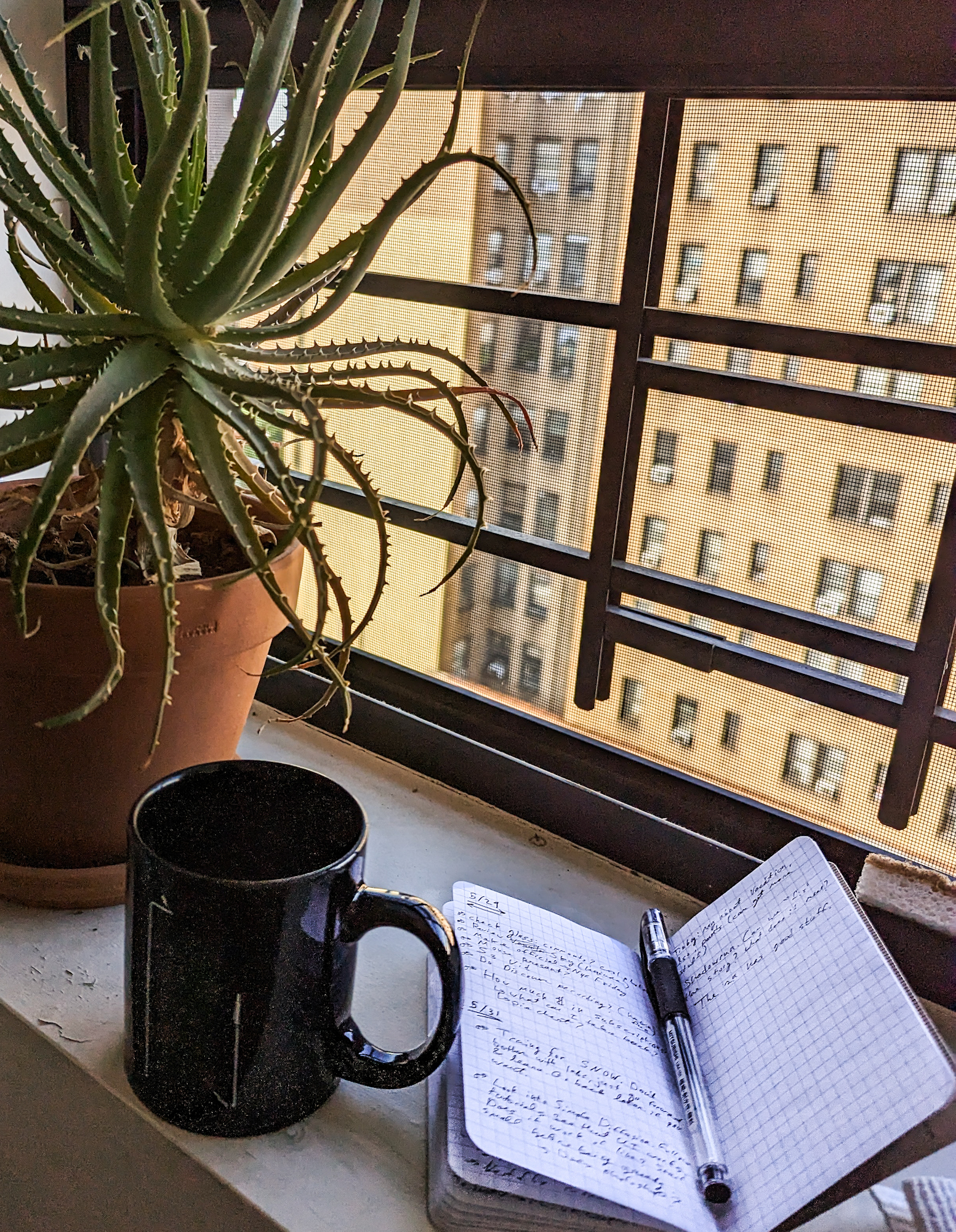 A view from an apartment a few floors up. There's another building nearby blocking most of the view. On the window seal: aloe vera, a mug of coffee and a pocket size notebook with scribbles in it.