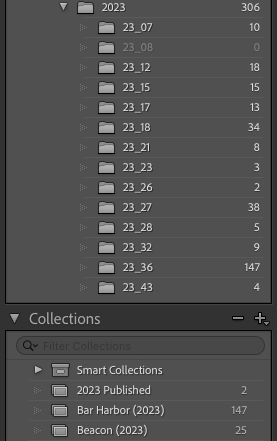 A snapshot of Adobe's Lightroom Classic showing the folder structure of photos. They are organized by year and then underneath by week numbers.