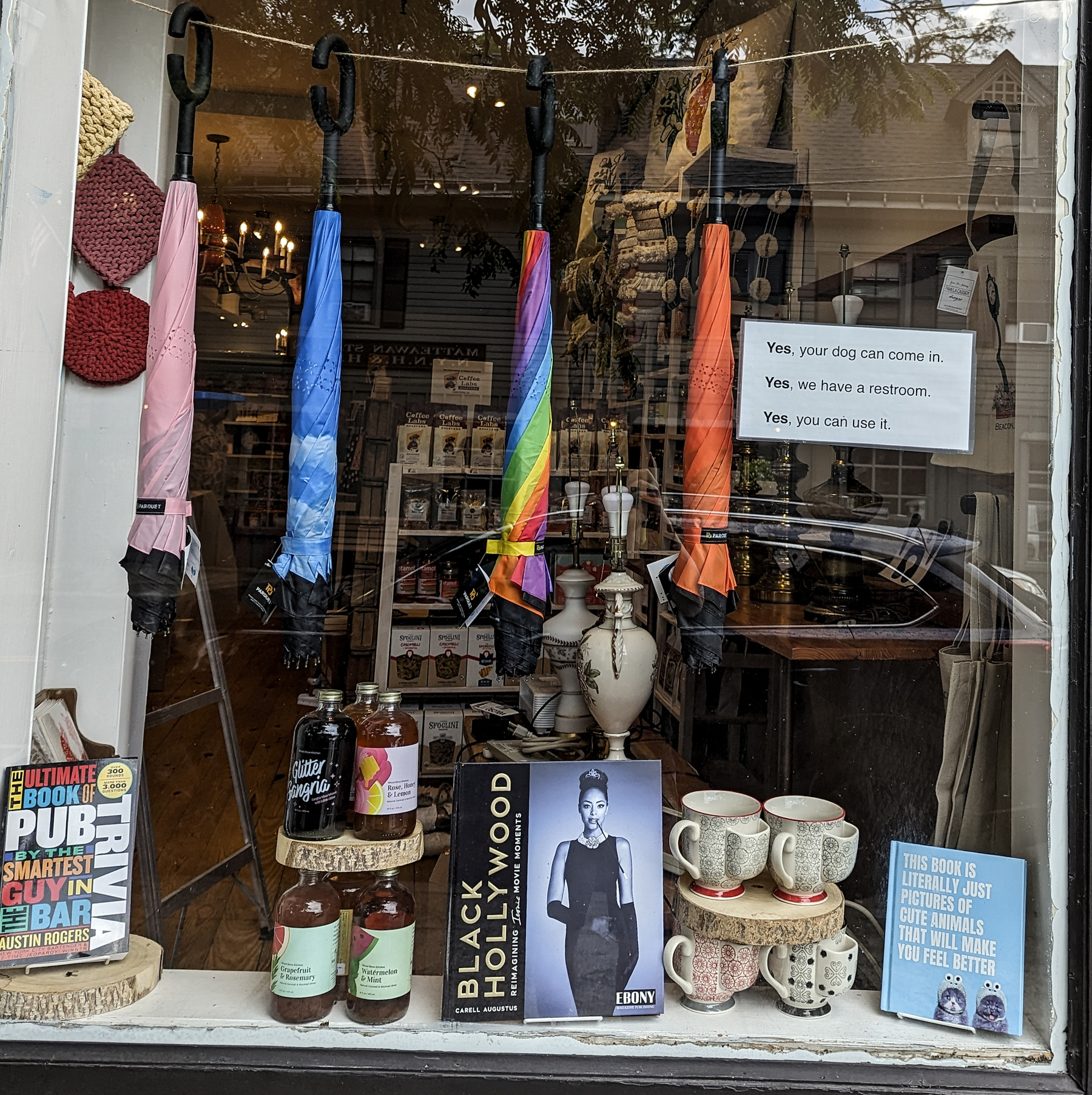 A store window with three colorful umbrellas hanging from a rope, a couple of mugs and a book. A sign reads "Yes your dog can come in. Yes we have a restroom. Yes you can use it."