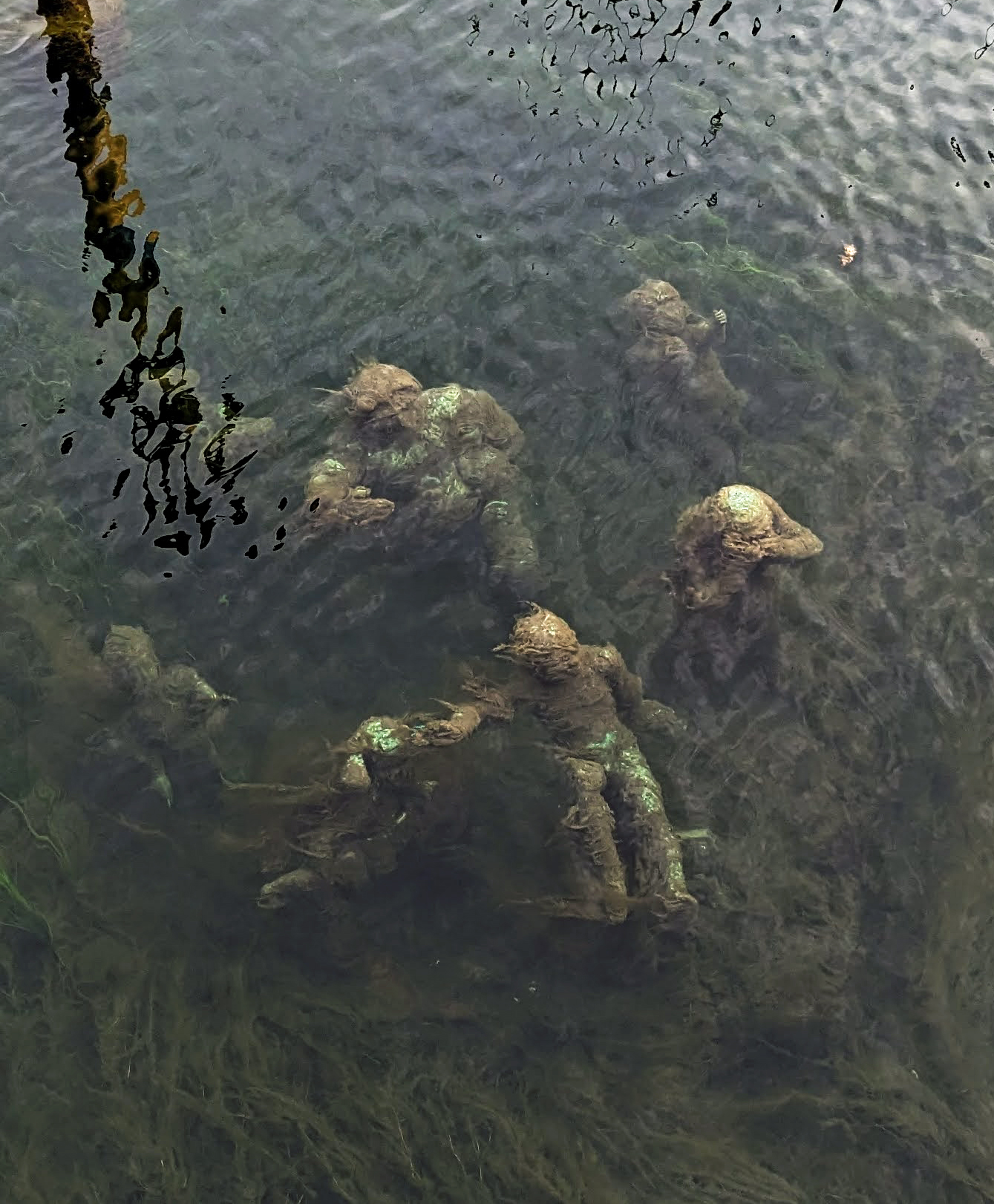  five human figures made of stone, underwater. They are green and blue, with algae growing around them an on them.