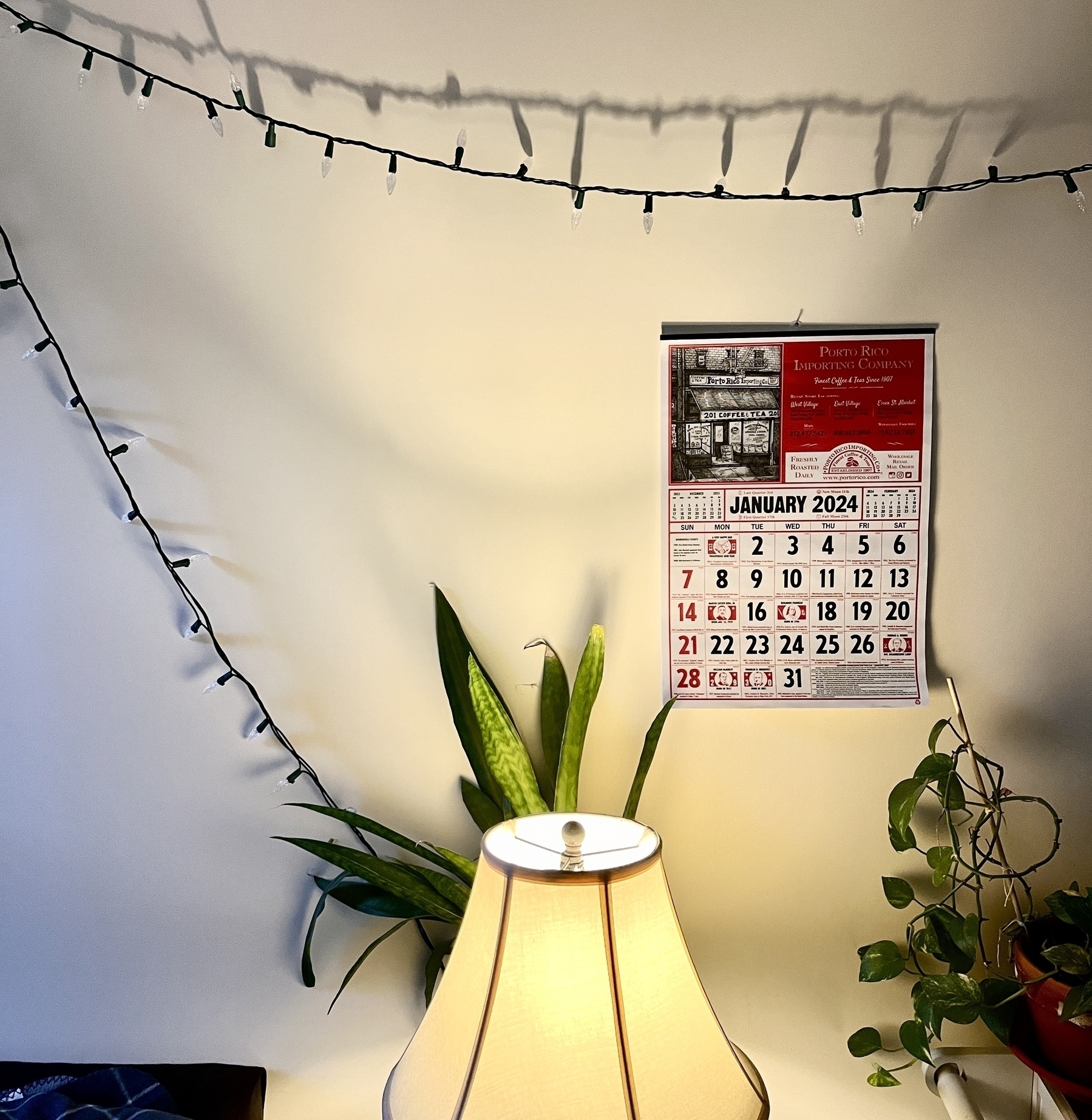 A desk lamp shining warm light unto a 2024 calendar showing the month of January. Lights on a wire cast long shadows on the wall. 