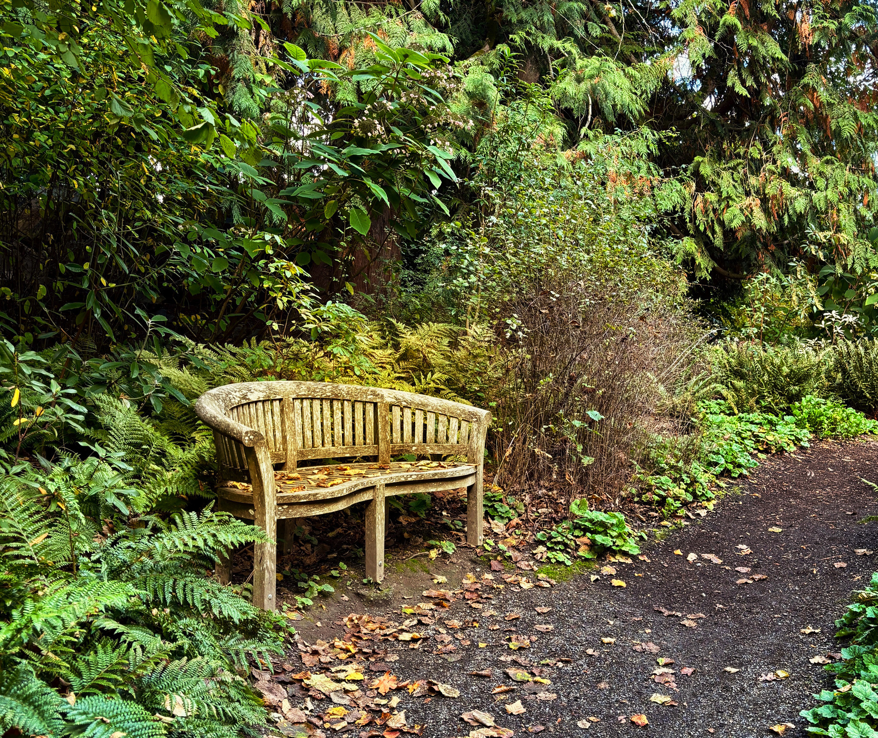 Auto-generated description: A wooden bench is nestled among lush greenery and trees beside a leaf-strewn path.