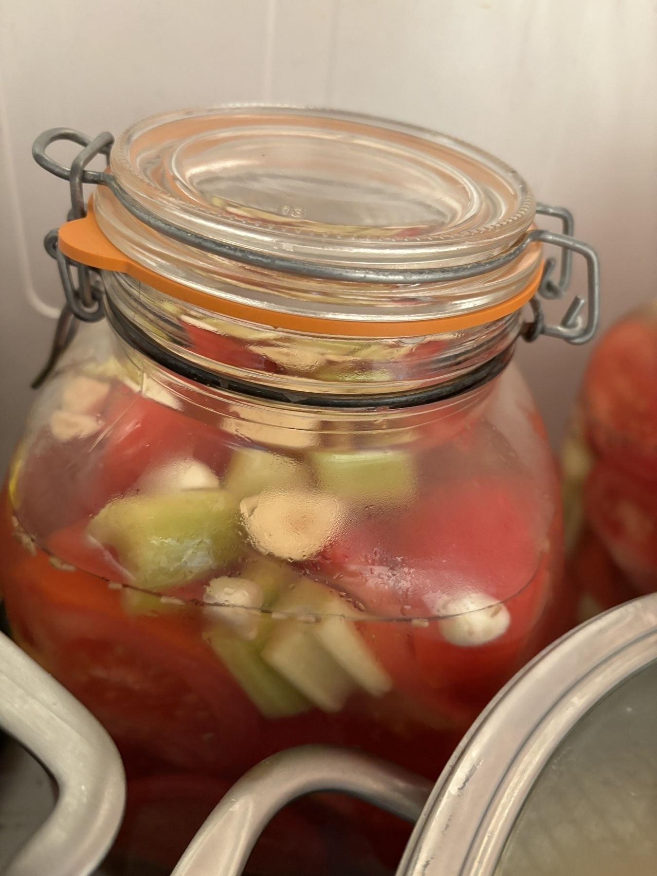 A jar filled with pickled red tomatoes, including celery and garlic cloves, is seen sealed and stored in a refrigerator