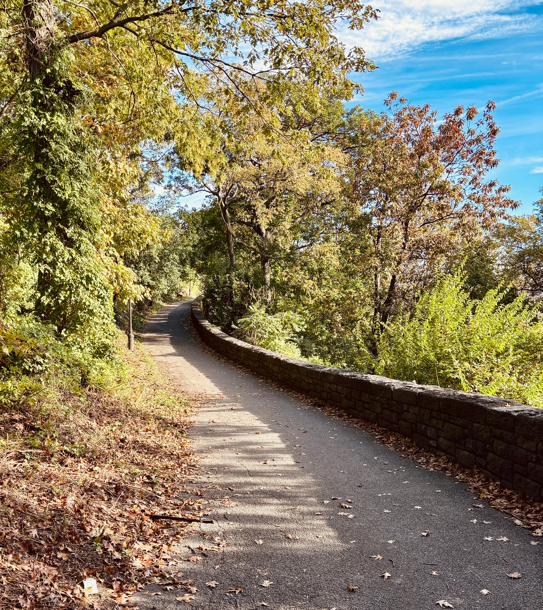 A peaceful pathway bordered by a stone wall winds through a lush, sunlit forest.
