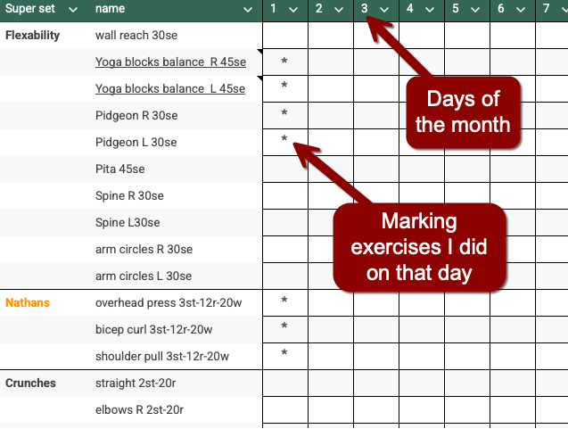 Auto-generated description: A workout log features exercises listed with durations and markings indicating which days exercises were performed.