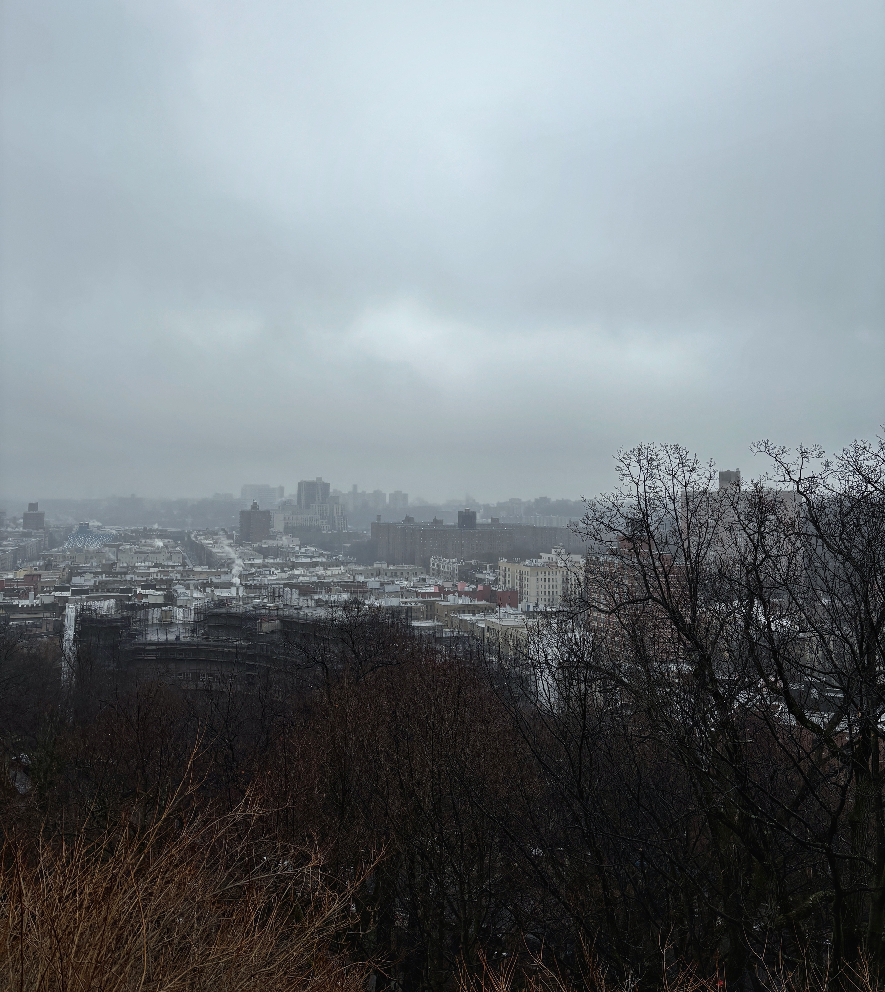 A cityscape view under a cloudy sky is seen from an elevated vantage point, with bare trees in the foreground.