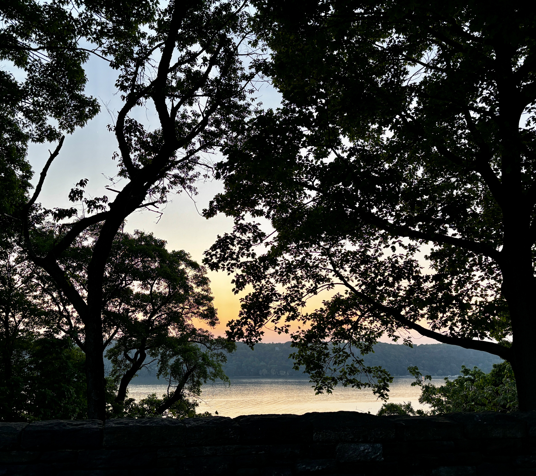 Silhouetted trees frame a serene riversode view at sunset.