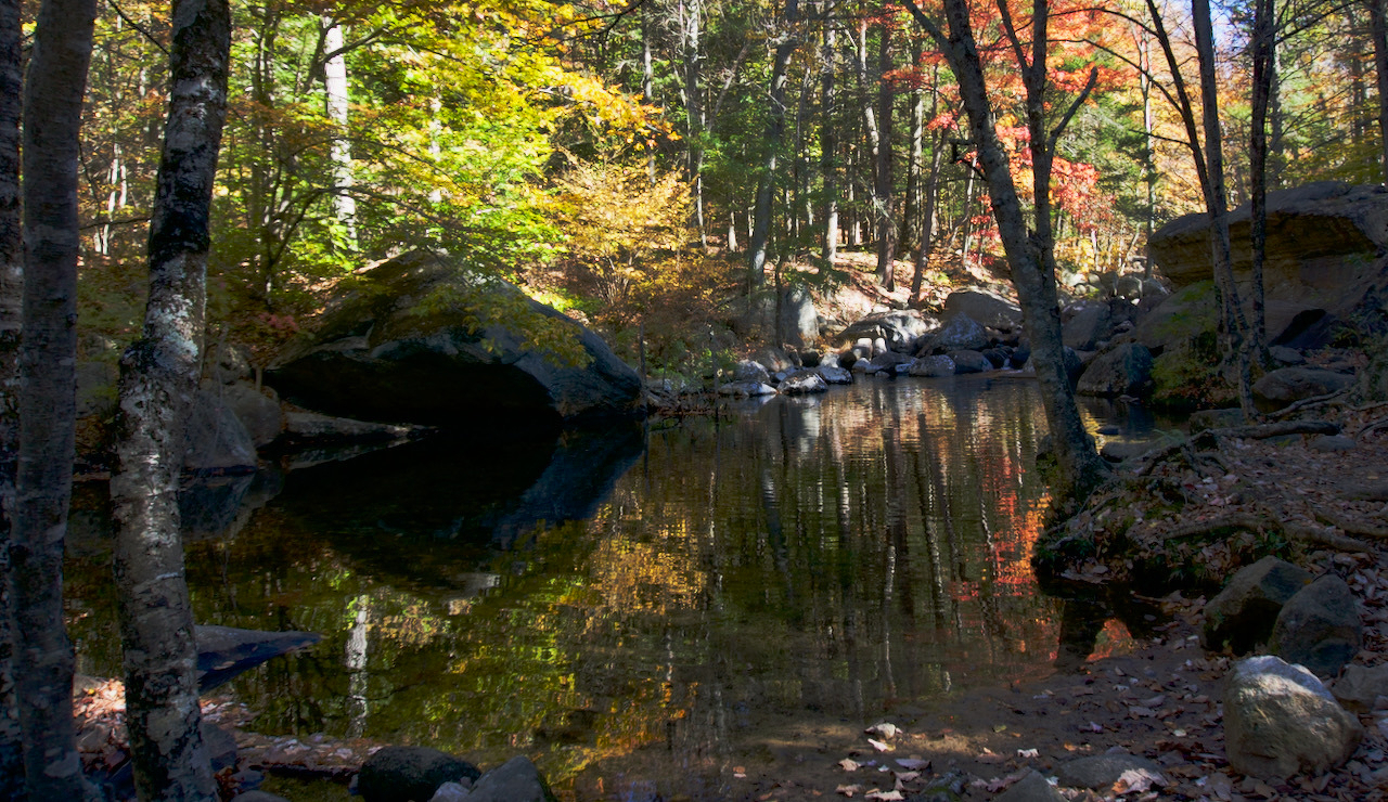 Auto-generated description: A serene forest scene displays a calm river reflecting the colorful autumn foliage and surrounding rocks.