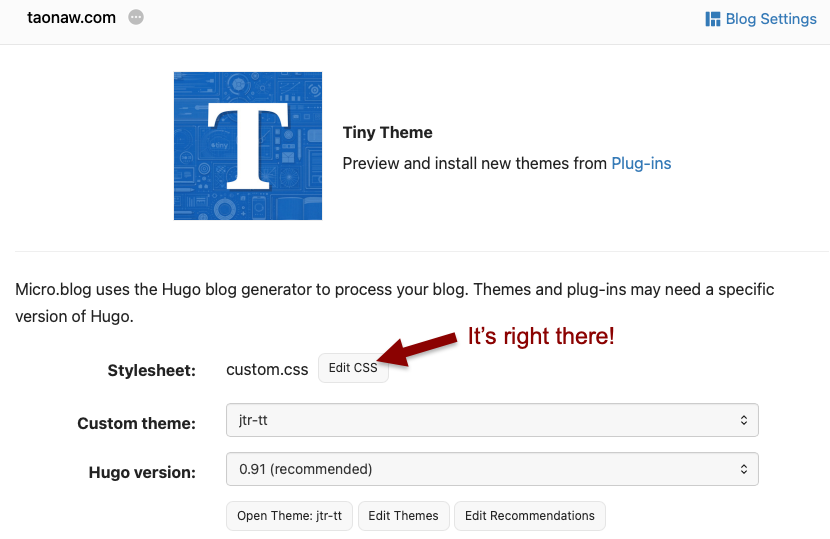 Auto-generated description: A web interface allows editing of the custom CSS for a Tiny Theme on a blog using Hugo