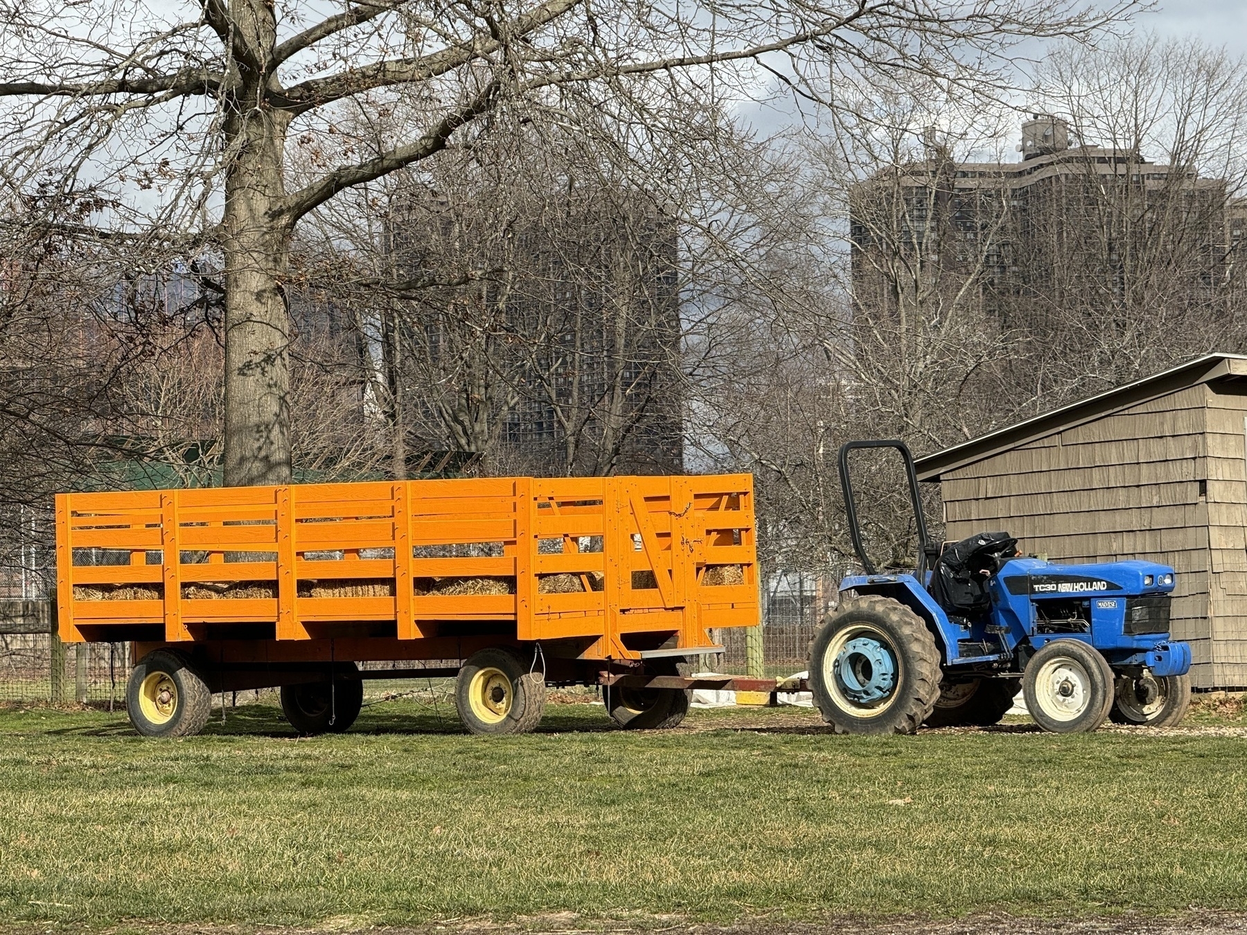 Photograph of a blue tractor with a bright orange trailer attached. In the background there are high rise apartment buildings.