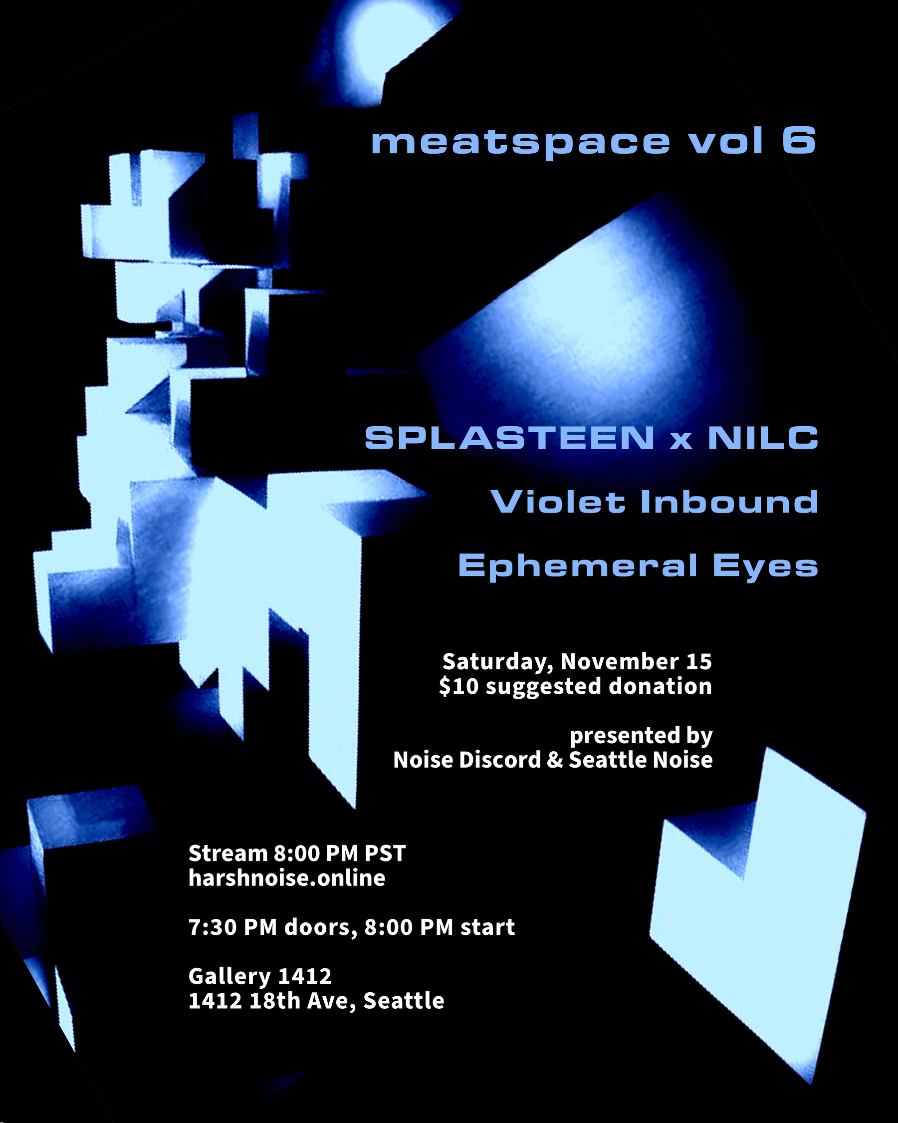 flyer for meatspace vol 6