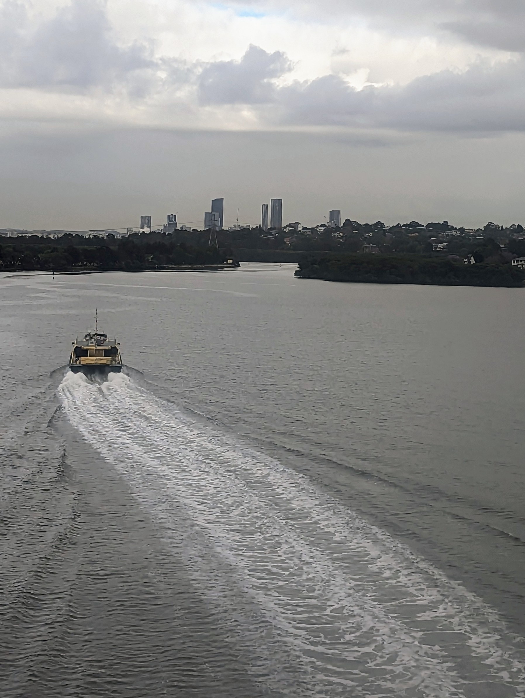 A Sydney ferry leaves a long wake in the river on its way towards the high-rise towers of Parramatta.