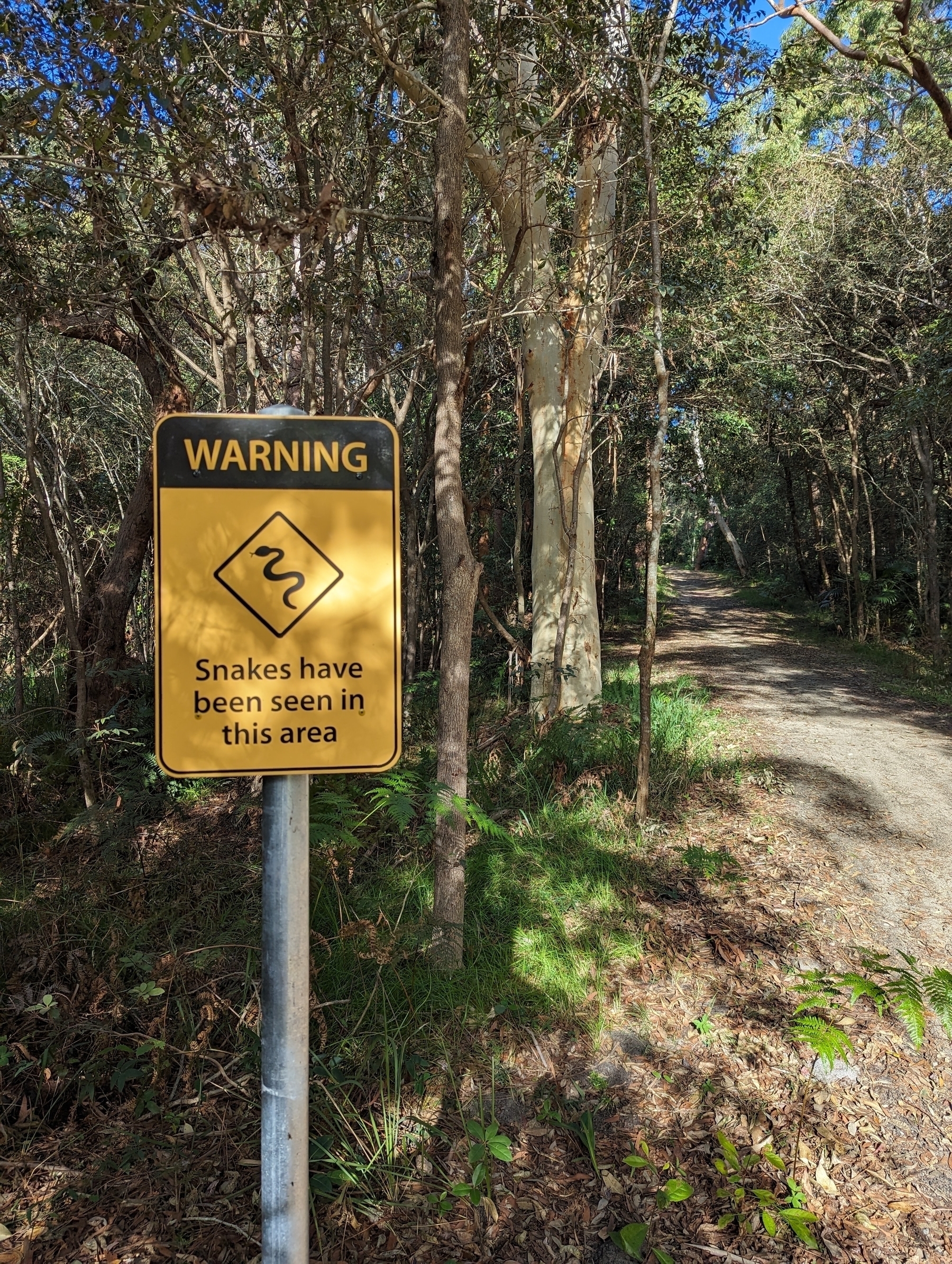 A fire trail in the Australian bush. In the foreground, a yellow sign warns that snakes have been seen in this area.