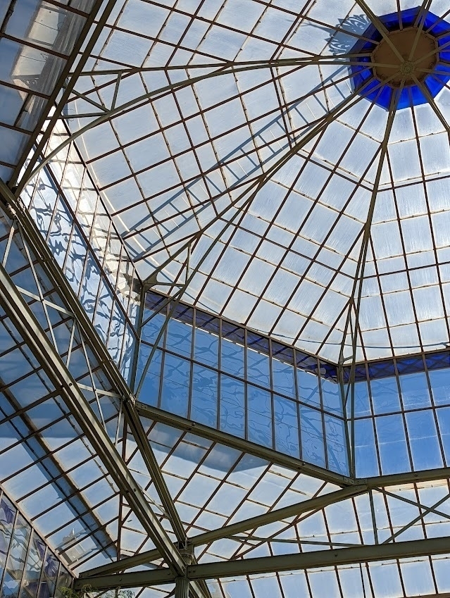 Viewed from below, the roof-dome of the Palm House at Adelaide Botanic Gardens