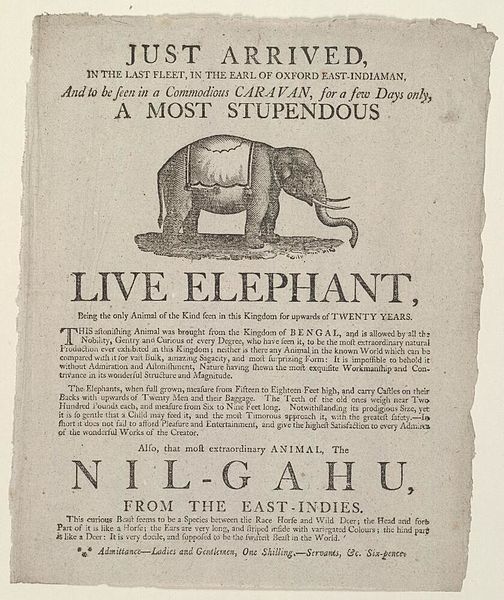 1795 handbill announcing a live elephant