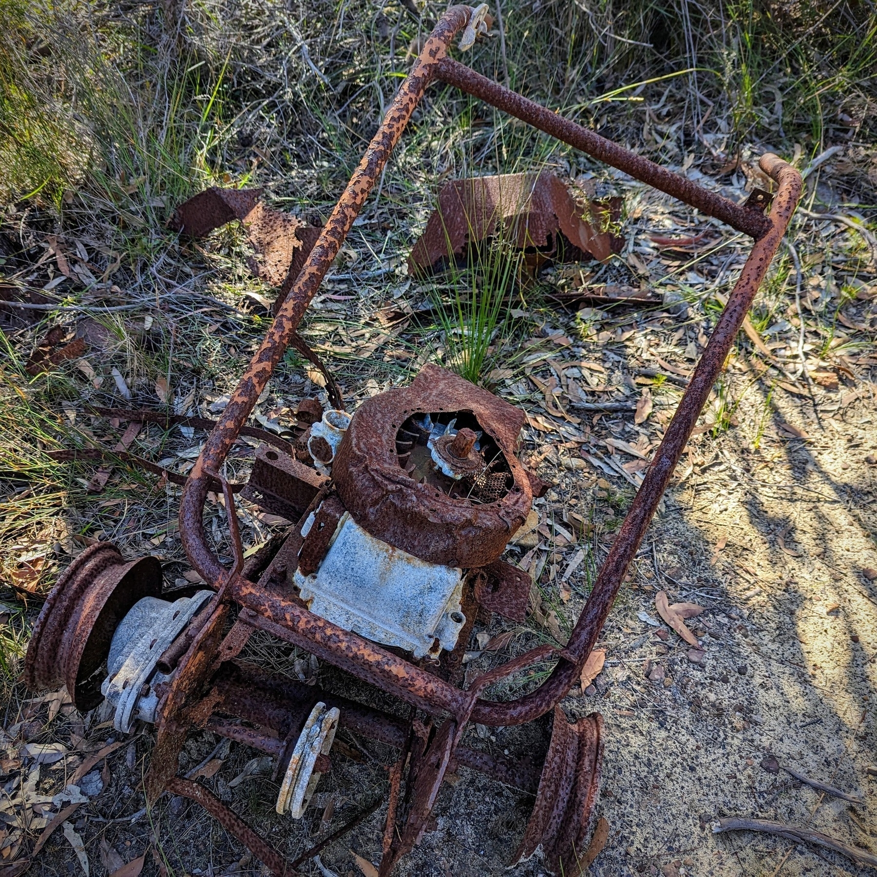 Abandoned machinery, maybe an old lawnmower, rusting in the bush