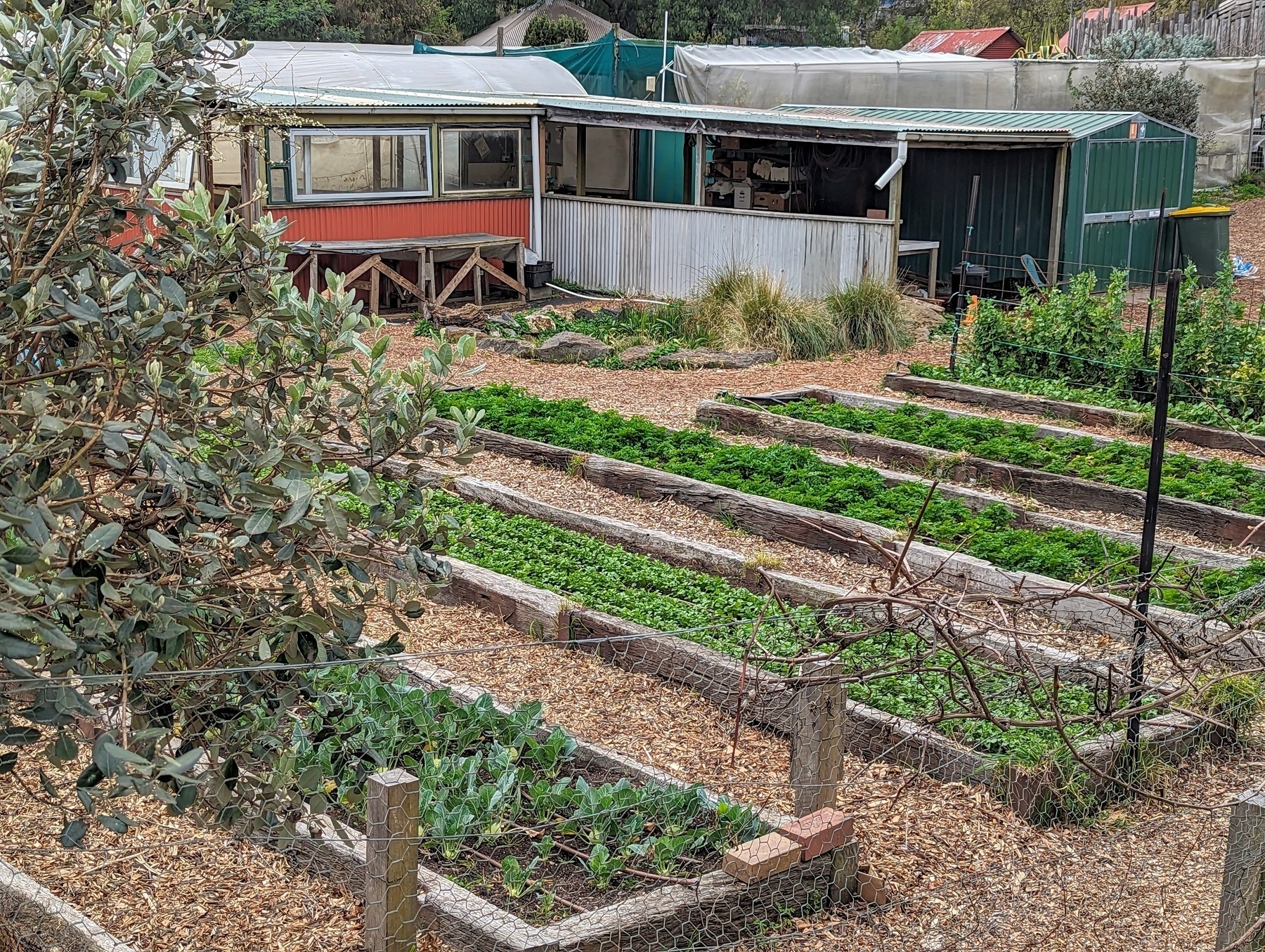 Vegetable beds at CERES community gardens, Melbourne.