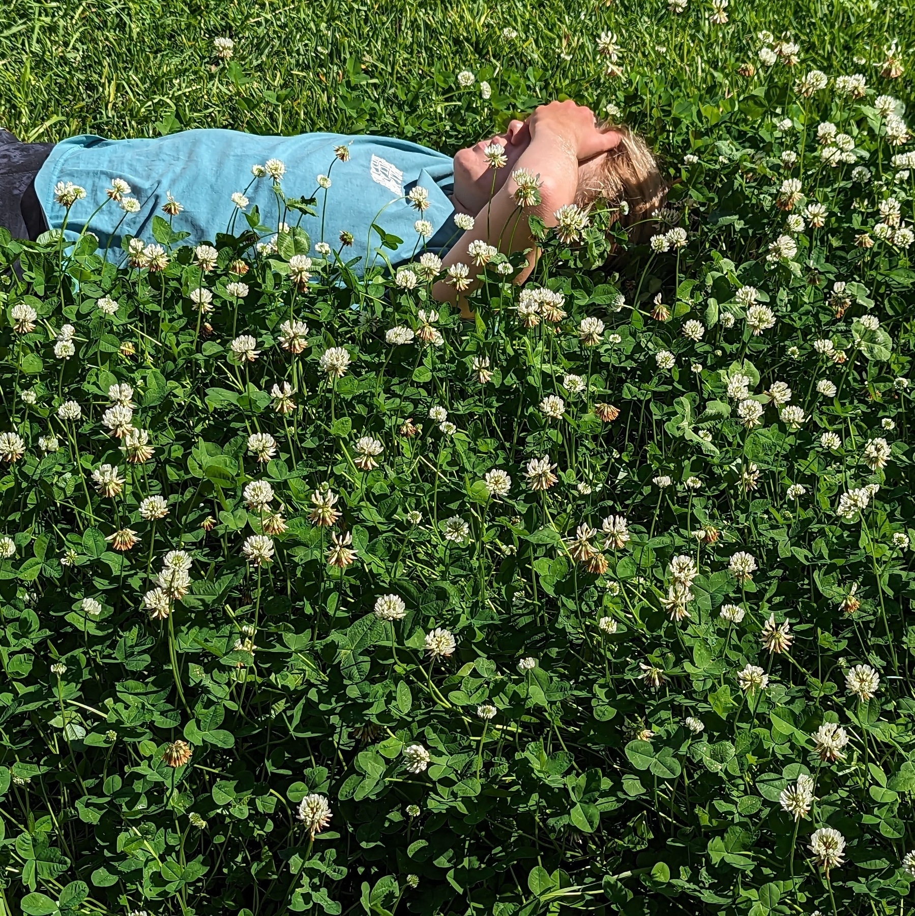 A person wearing teal relaxes in a bed of flowering clover.