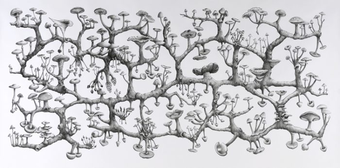 Richard Giblett's 2008 drawing, graphite on paper, of a mycelium rhizome